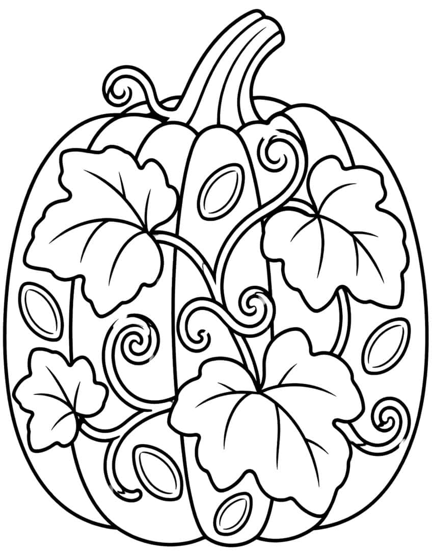 Large ribbed pumpkin with curved stem, four leaves, spiral vines and oval seeds