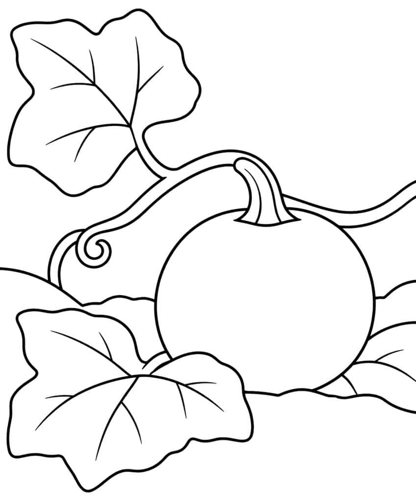 Round pumpkin with curved stem, vine with curly tendril and two large veined leaves