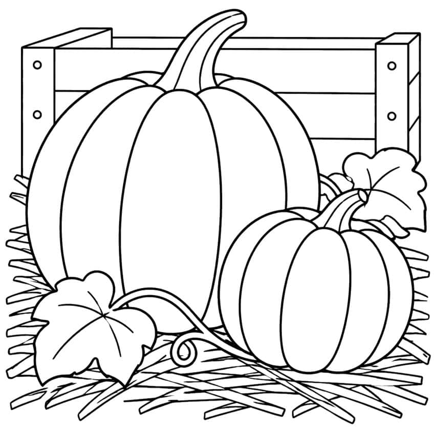 Large and small ridged pumpkins on straw with leaves, a curling vine and a wooden crate behind