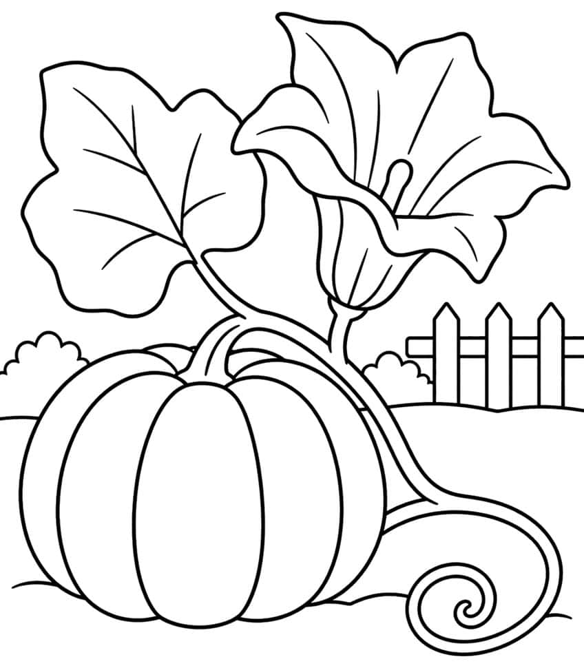 Pumpkin blossom, ridged pumpkin, curling vine, lobed leaf, picket fence and bushes