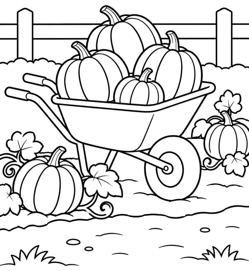 Wheelbarrow piled with four pumpkins, two vine pumpkins with leaves, and a wooden fence behind