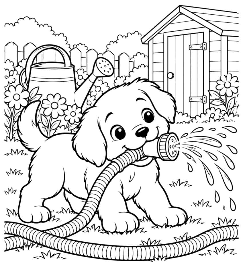 Coloring page of a puppy spraying water from a garden hose next to a garden shed