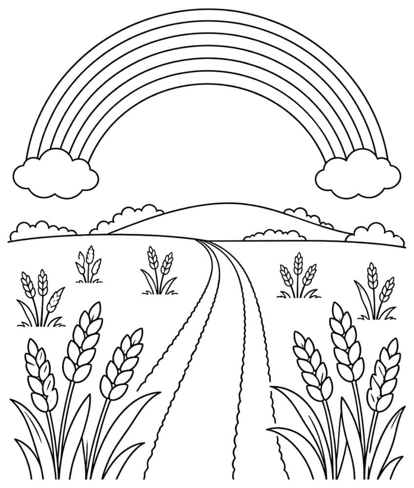 Coloring page with a rainbow above a wheat field and a winding path