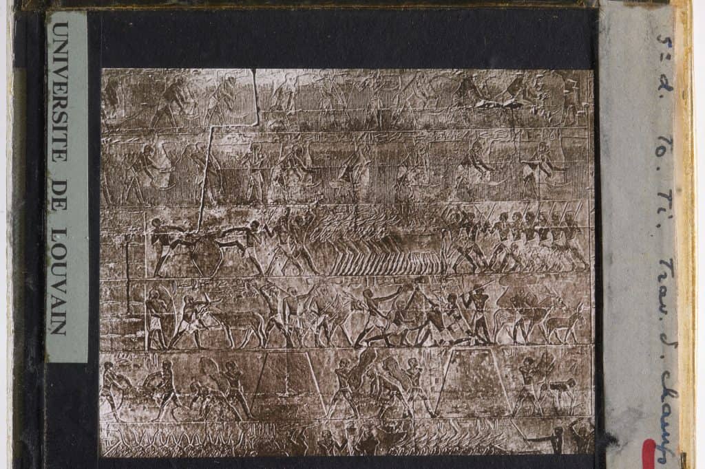 A painted limestone relief in the Fifth-Dynasty Mastaba of Ti at Saqqara shows figures and livestock in an agricultural scene.