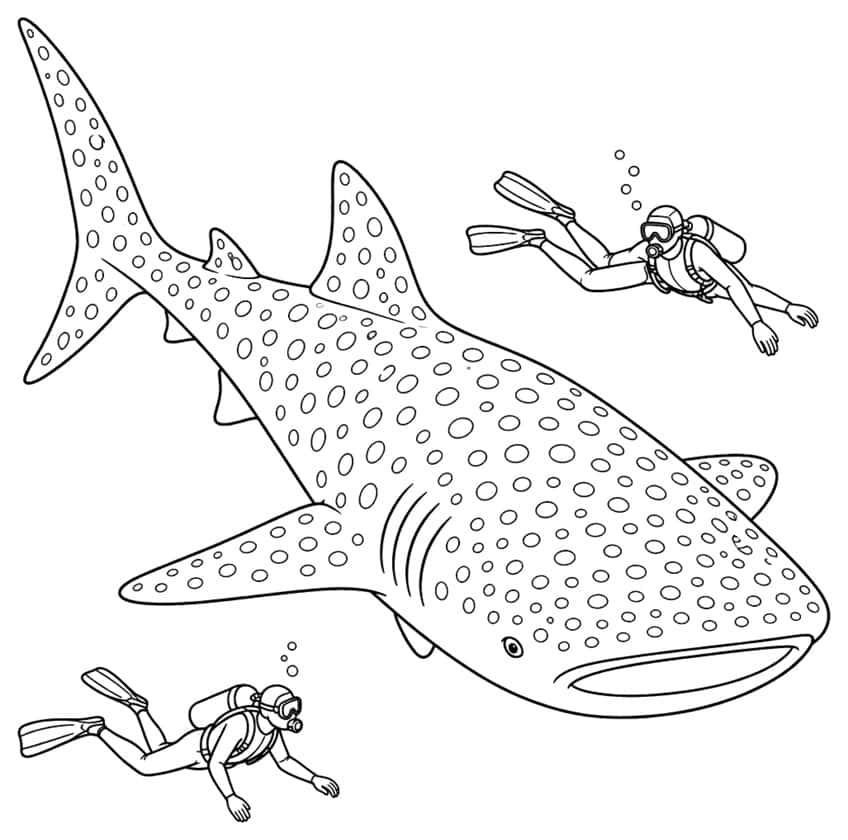 Coloring page: spotted whale shark with two scuba divers and bubbles