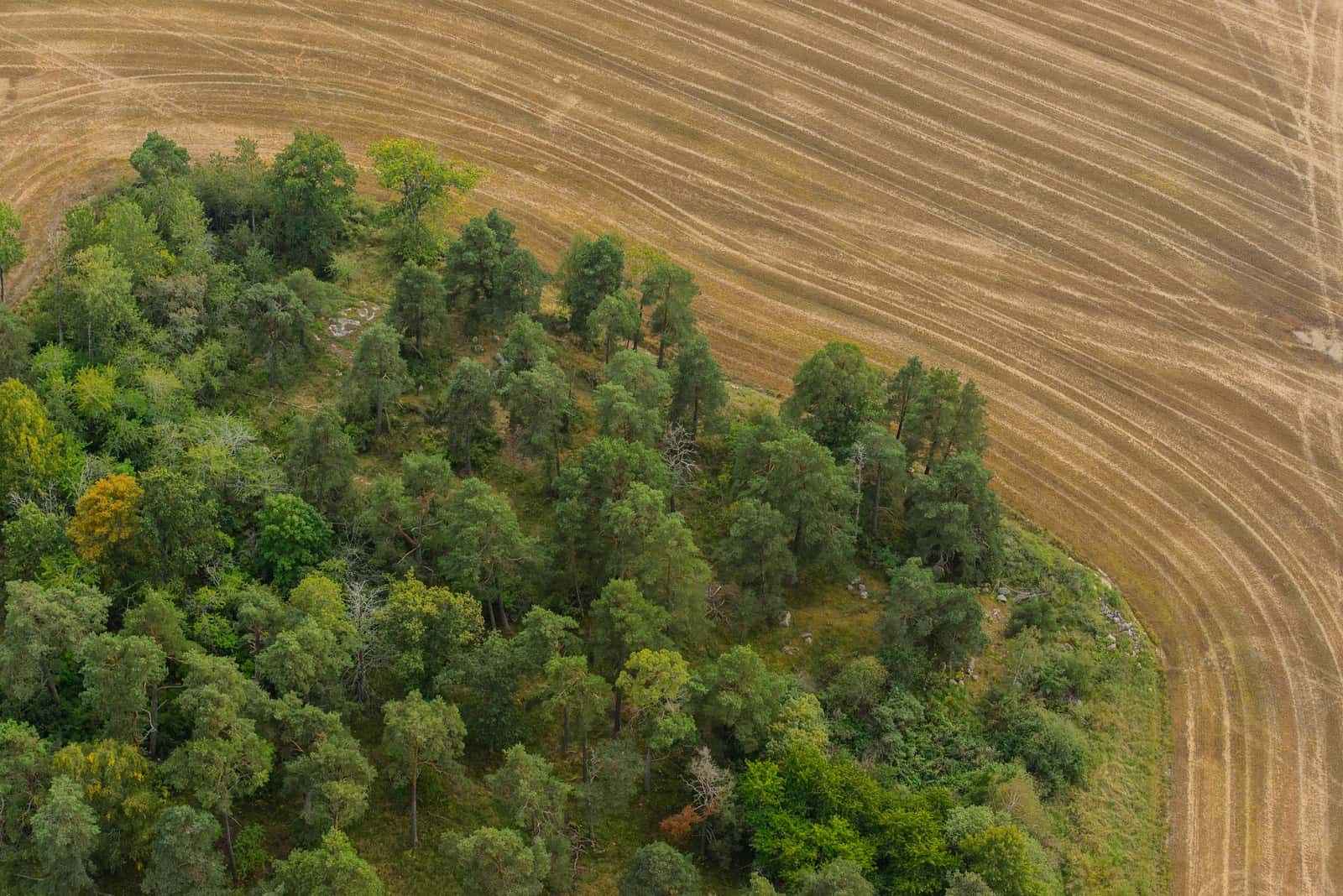 Färingsö September 2014 01. Forest and agricultural landscape at the island Färingsö in Stockholm country.