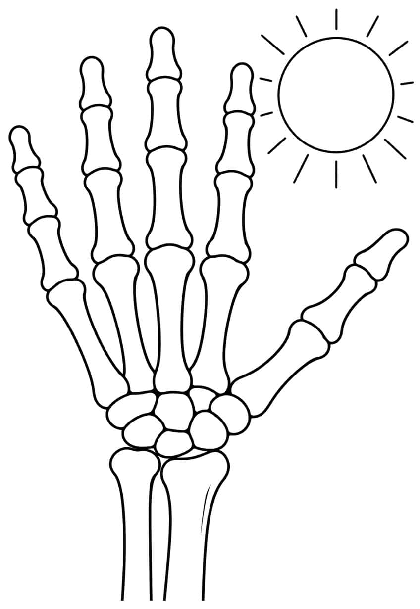 Outline of a skeleton hand with spread fingers, wrist bones and forearm, with a round sun with rays at upper right