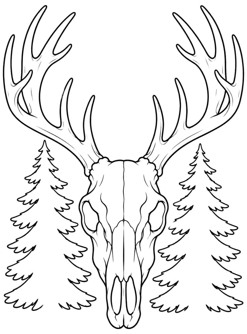 Front view of a deer skull with large antlers and a pine tree on each side