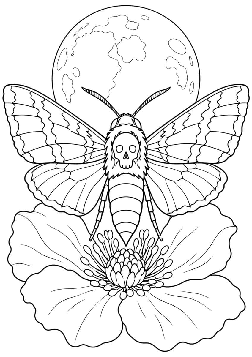 Hawkmoth with skull marking on its back, perched on a large flower in front of a full moon