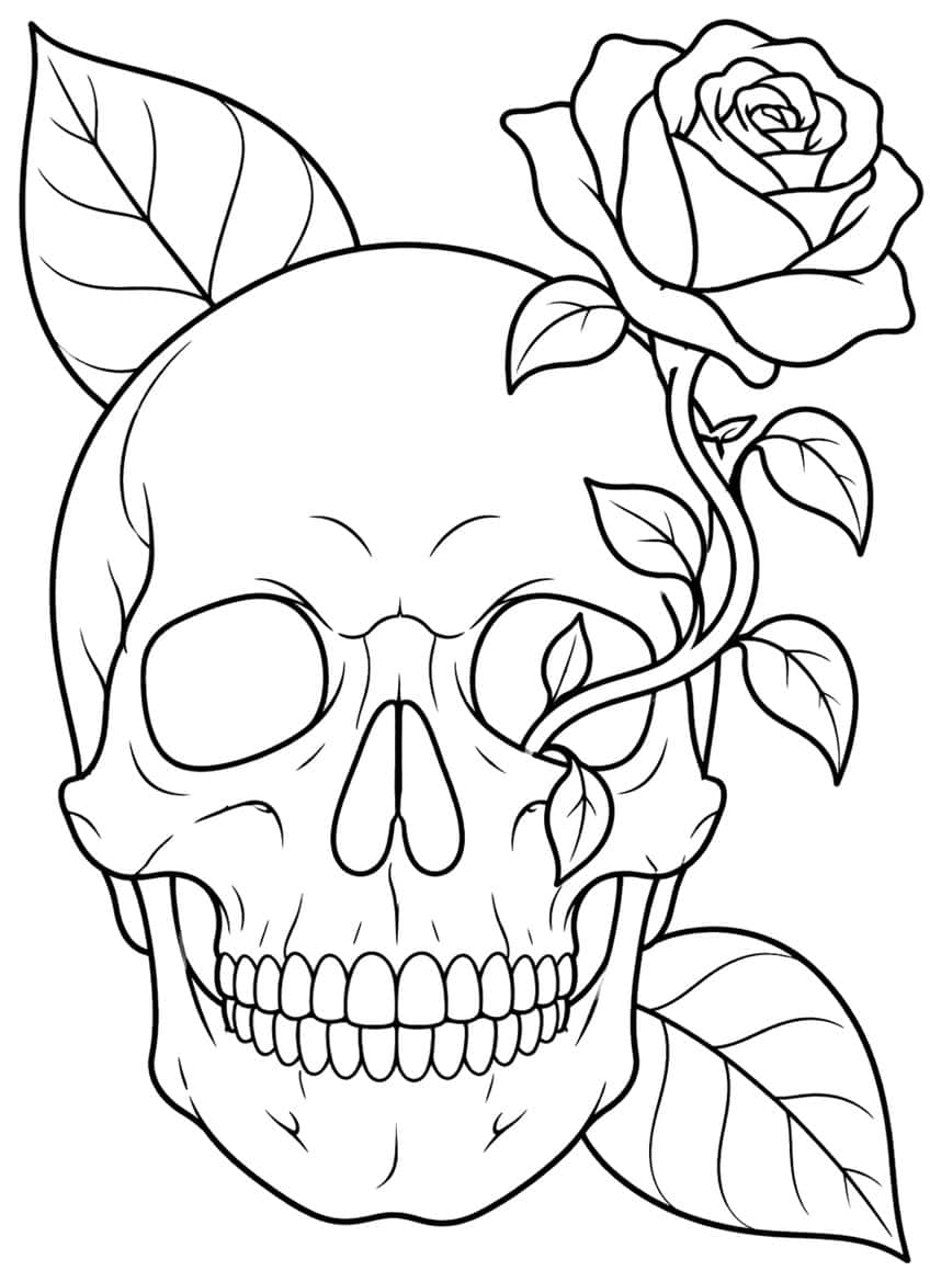 Front view of a skull with a rose vine, small leaves and two large leaves behind it