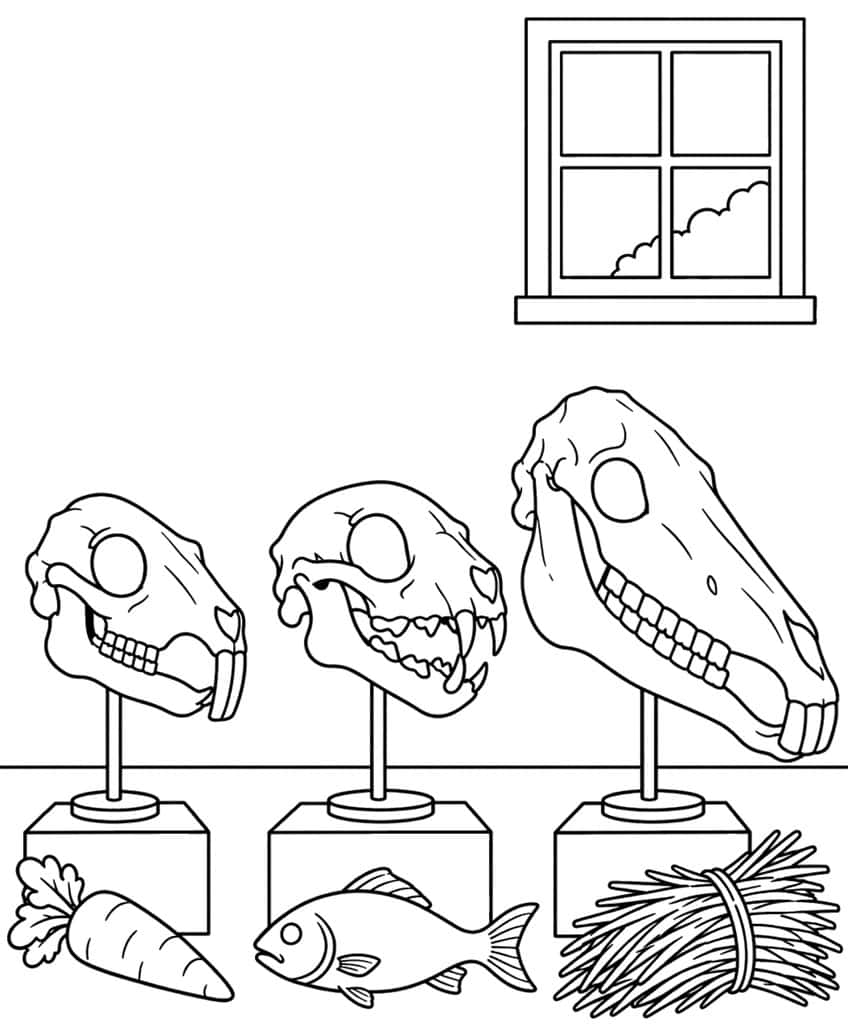 Three skulls on stands with a carrot, a fish and a hay bundle, under a window with clouds