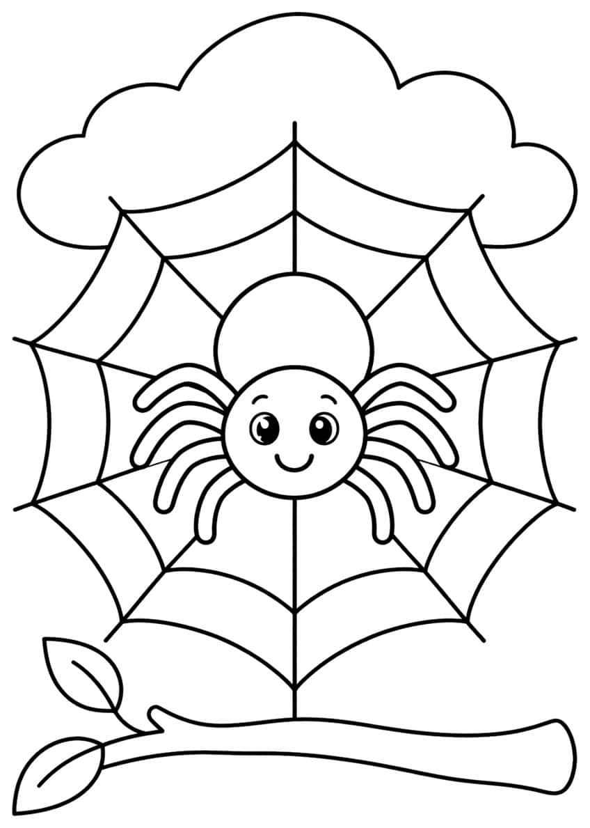 Smiling spider in a web with a cloud above and a branch with two leaves below