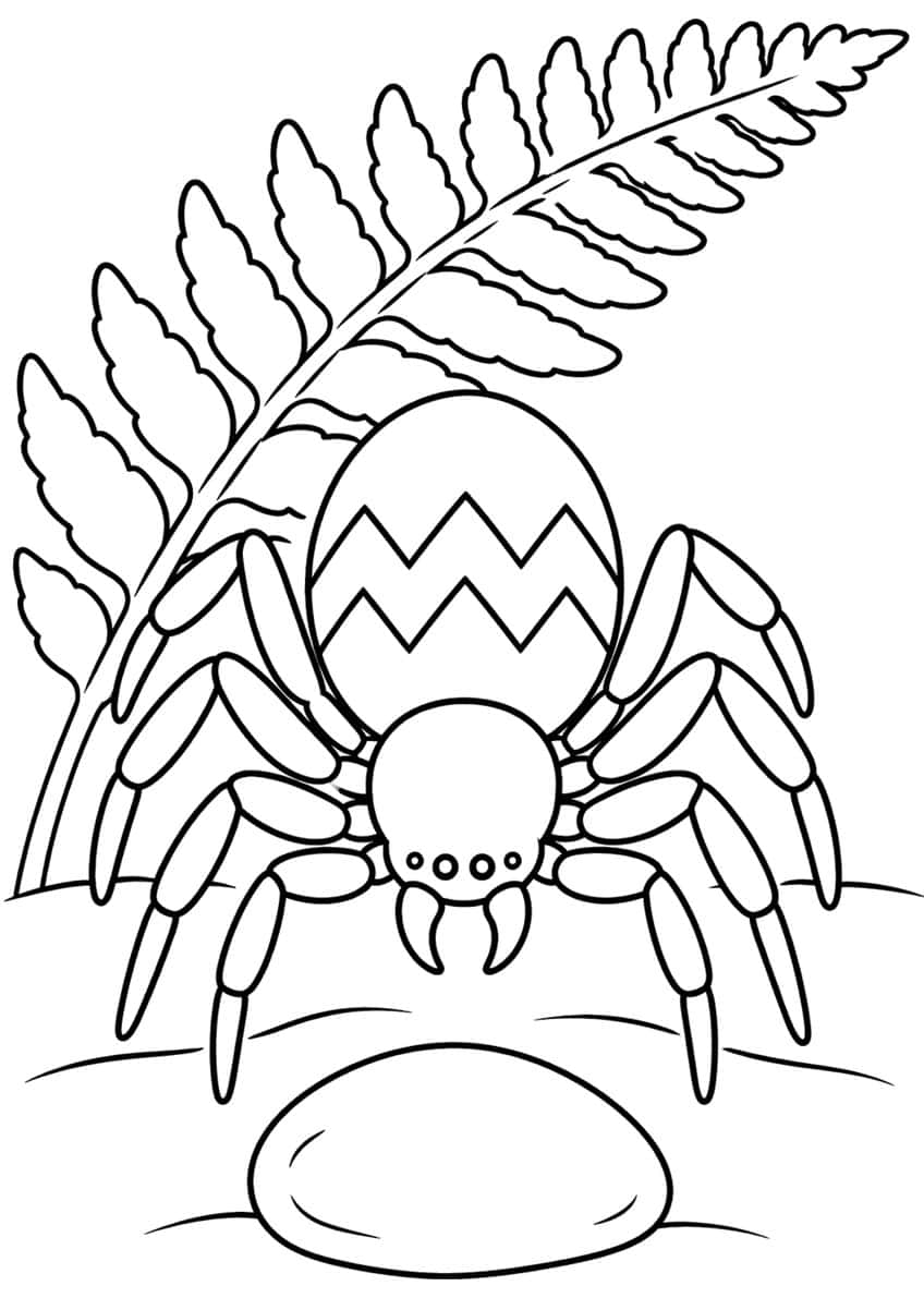 Spider with zigzag-striped abdomen under a fern frond, with a smooth stone in front