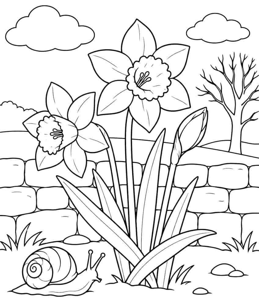 Coloring page of daffodils in front of a stone wall with a snail, bare tree and clouds