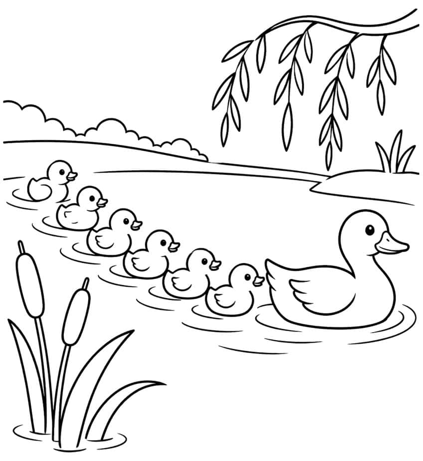 Line drawing of a mother duck swimming with six ducklings past cattails under a willow
