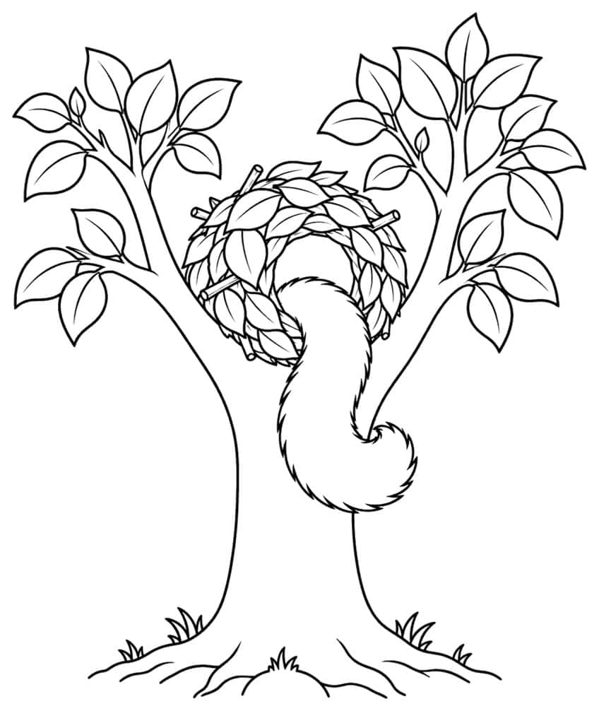 Coloring page: tree with leafy squirrel nest and a bushy tail hanging out