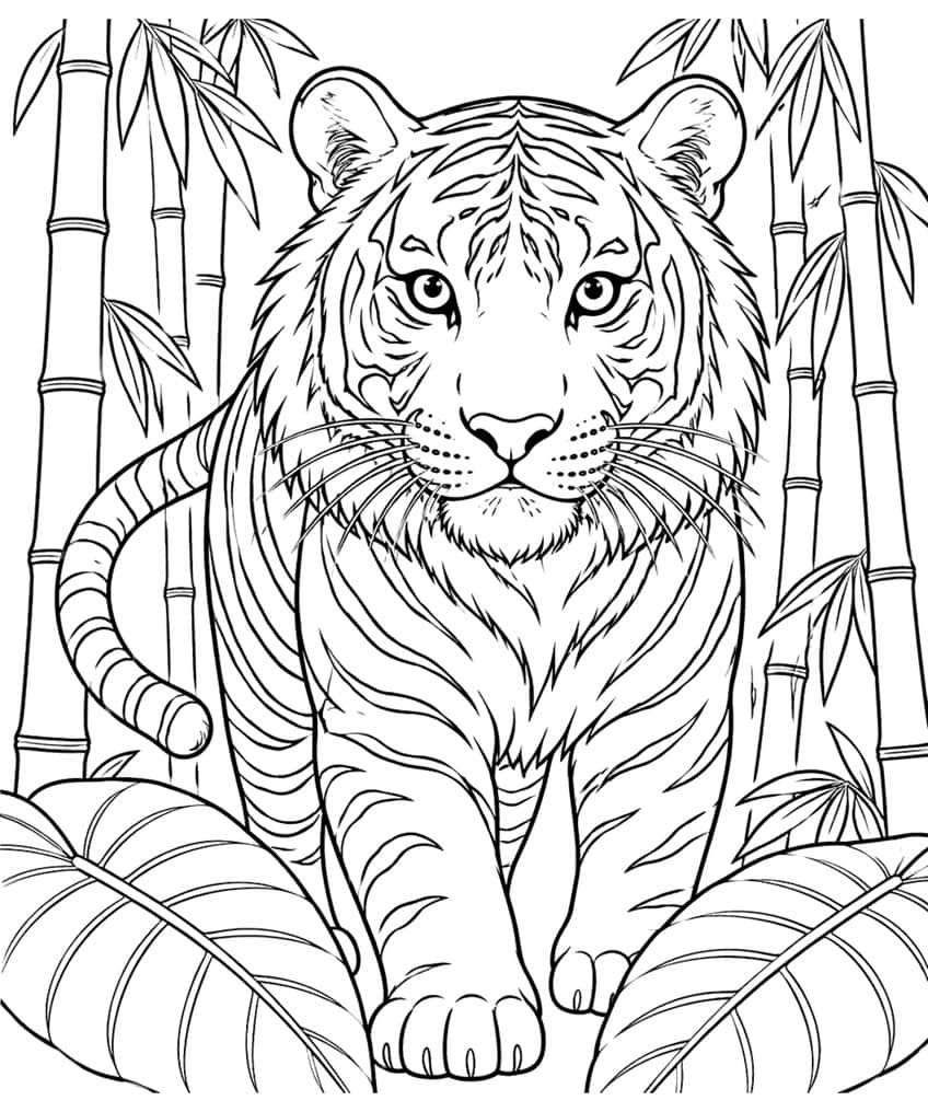 Coloring page of a tiger walking toward the viewer through bamboo with large leaves in front