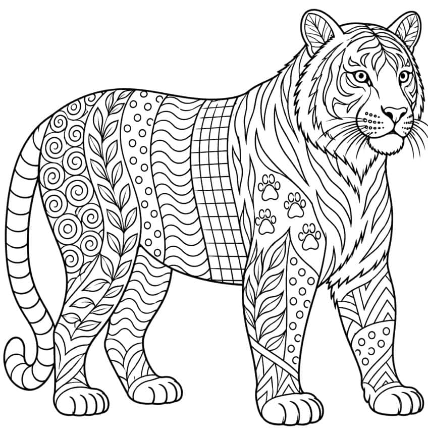 Coloring page of a standing tiger with zentangle patterns of spirals, leaves, dots and paw prints
