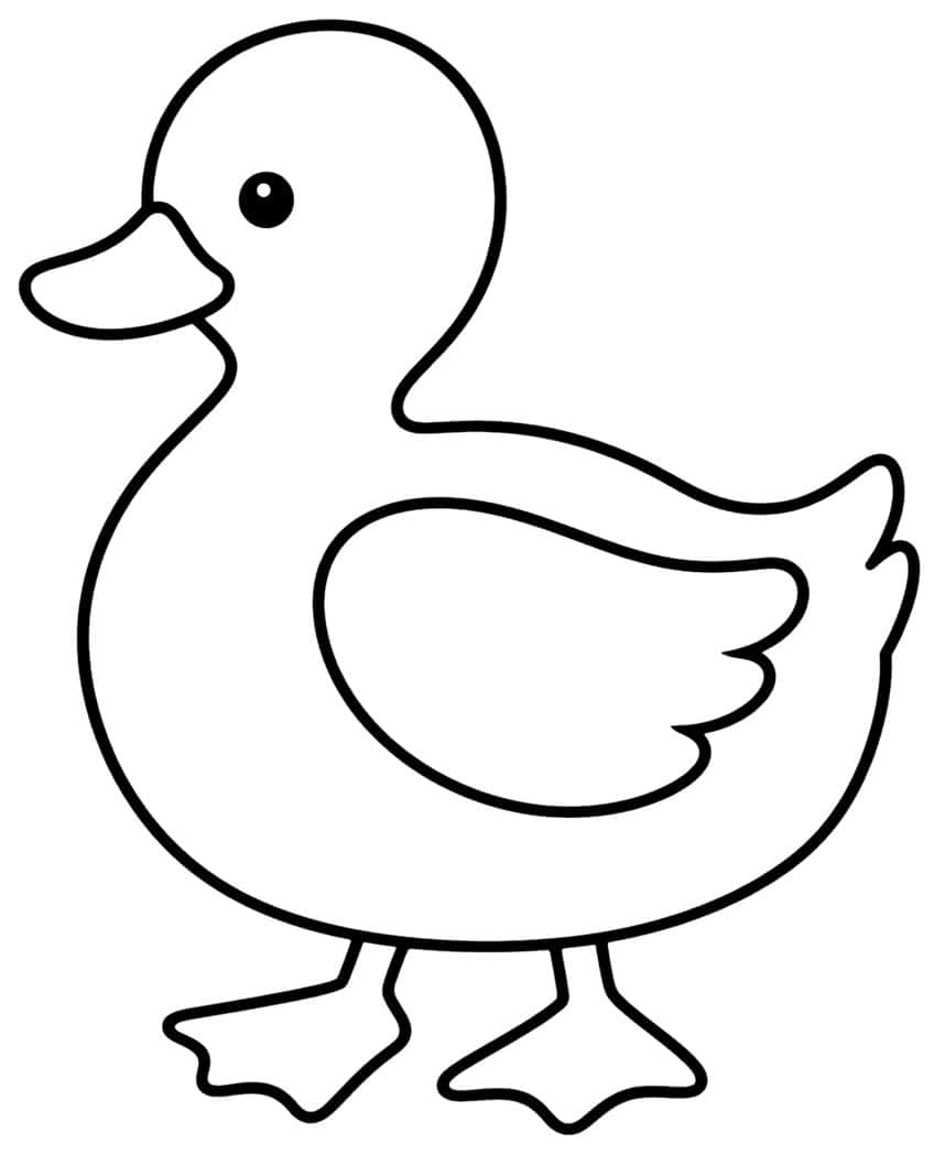 Outline of a duckling in side view with round head, big wing, tail tuft and two webbed feet