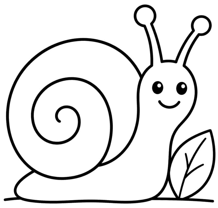 Smiling snail with a large spiral shell, two feelers and a leaf on the ground