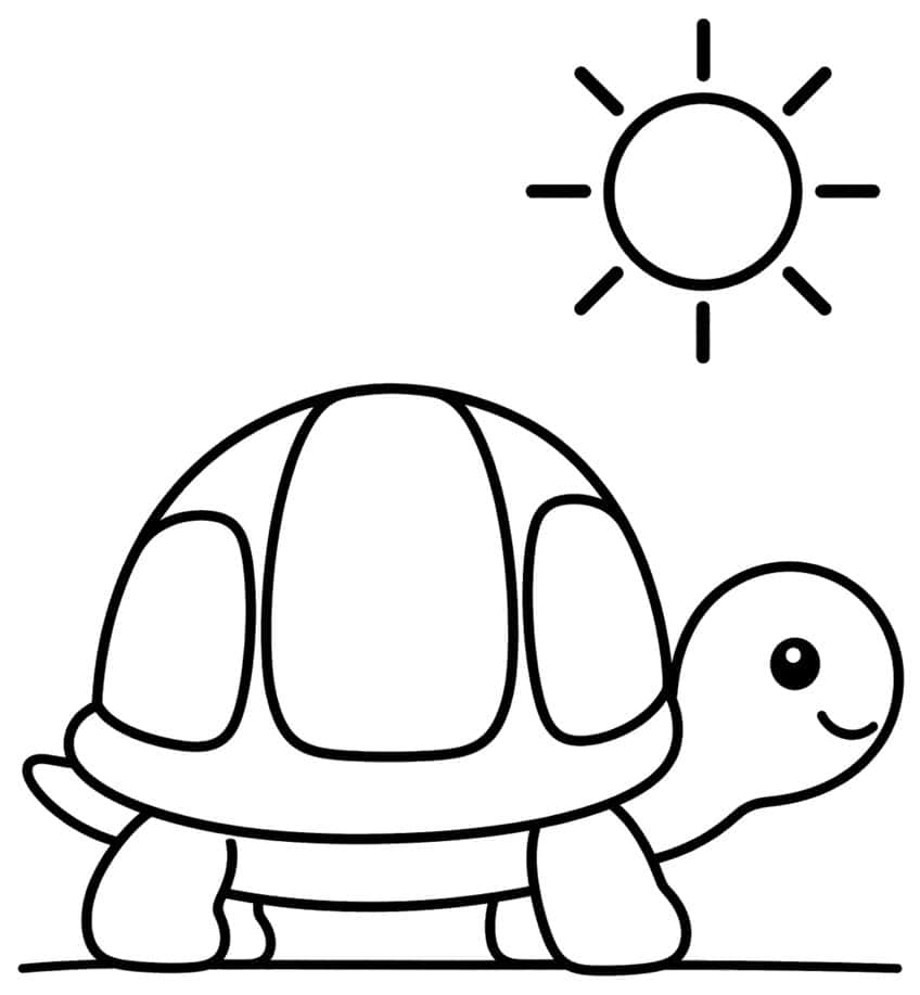 Smiling turtle with a domed three-panel shell on the ground, with a sun above