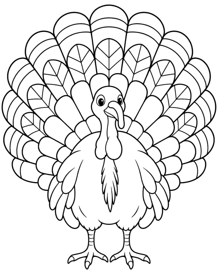 Front view of a turkey with a large fan of banded and veined tail feathers, wattle and clawed feet