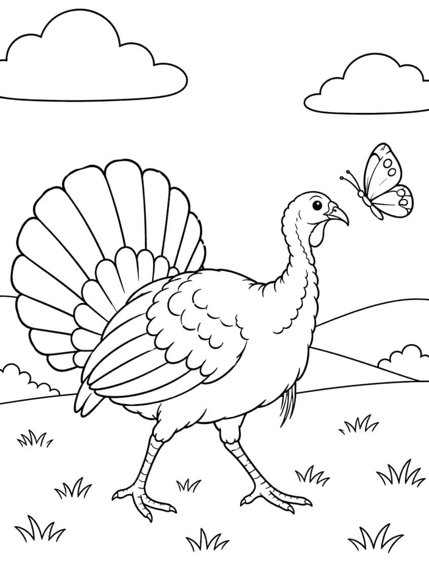 Turkey walking in a meadow with fanned tail, a butterfly, clouds, hills and grass tufts