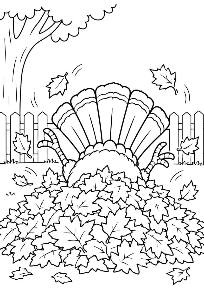 Turkey buried headfirst in a maple leaf pile with tail fanned, fence and tree behind