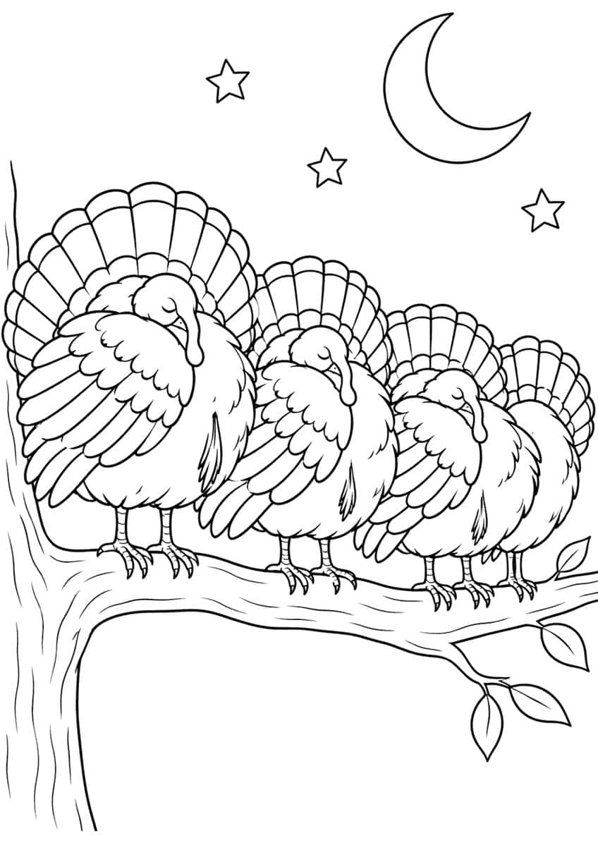 Four sleeping turkeys with fanned tails on a tree branch under a crescent moon and three stars