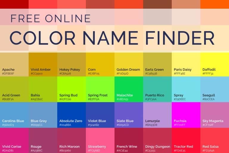 Color Name Finder: What Color Is This? Free Color Identifier - free online tool