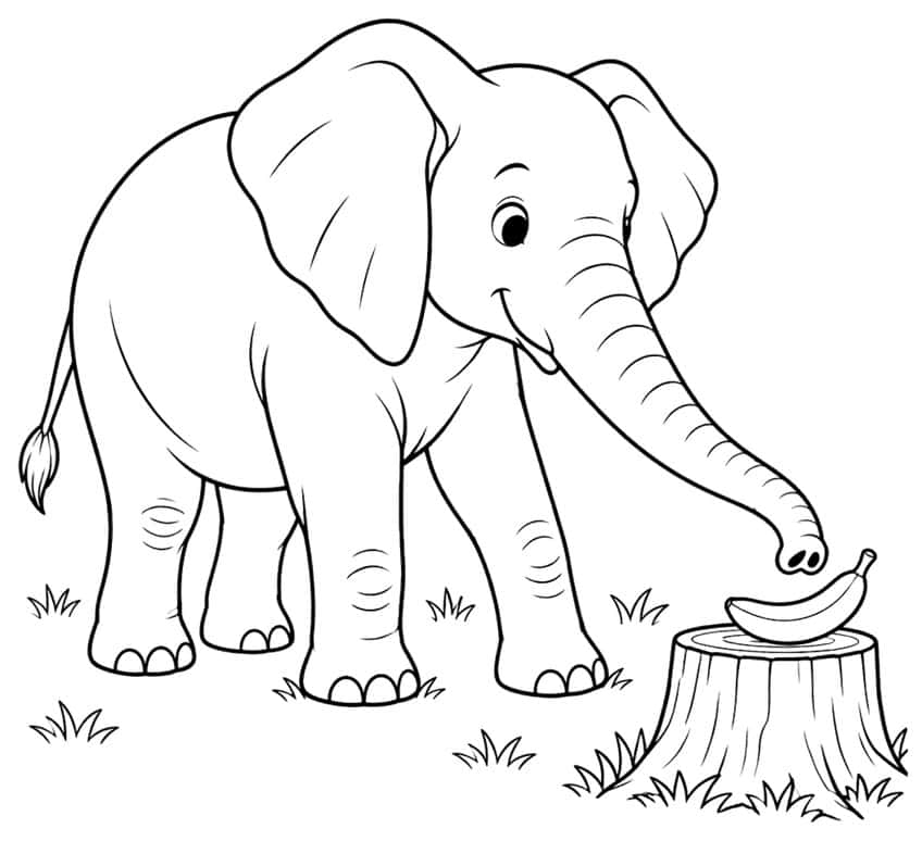 Coloring page of an elephant reaching with its trunk for a banana on a tree stump