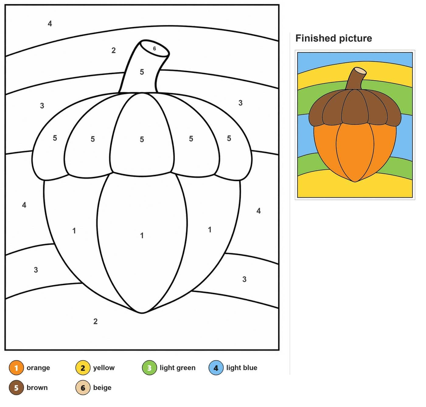 Large acorn with stem, five-scale cap and pointed nut on curved background bands
