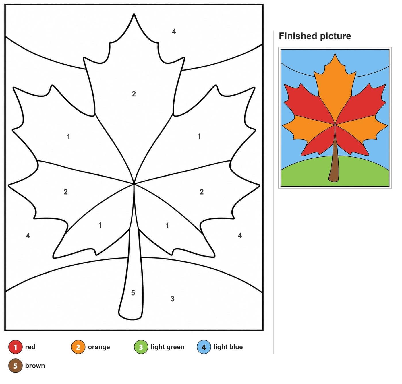 Large maple leaf with five lobes, vein lines splitting it into sections, and a stem