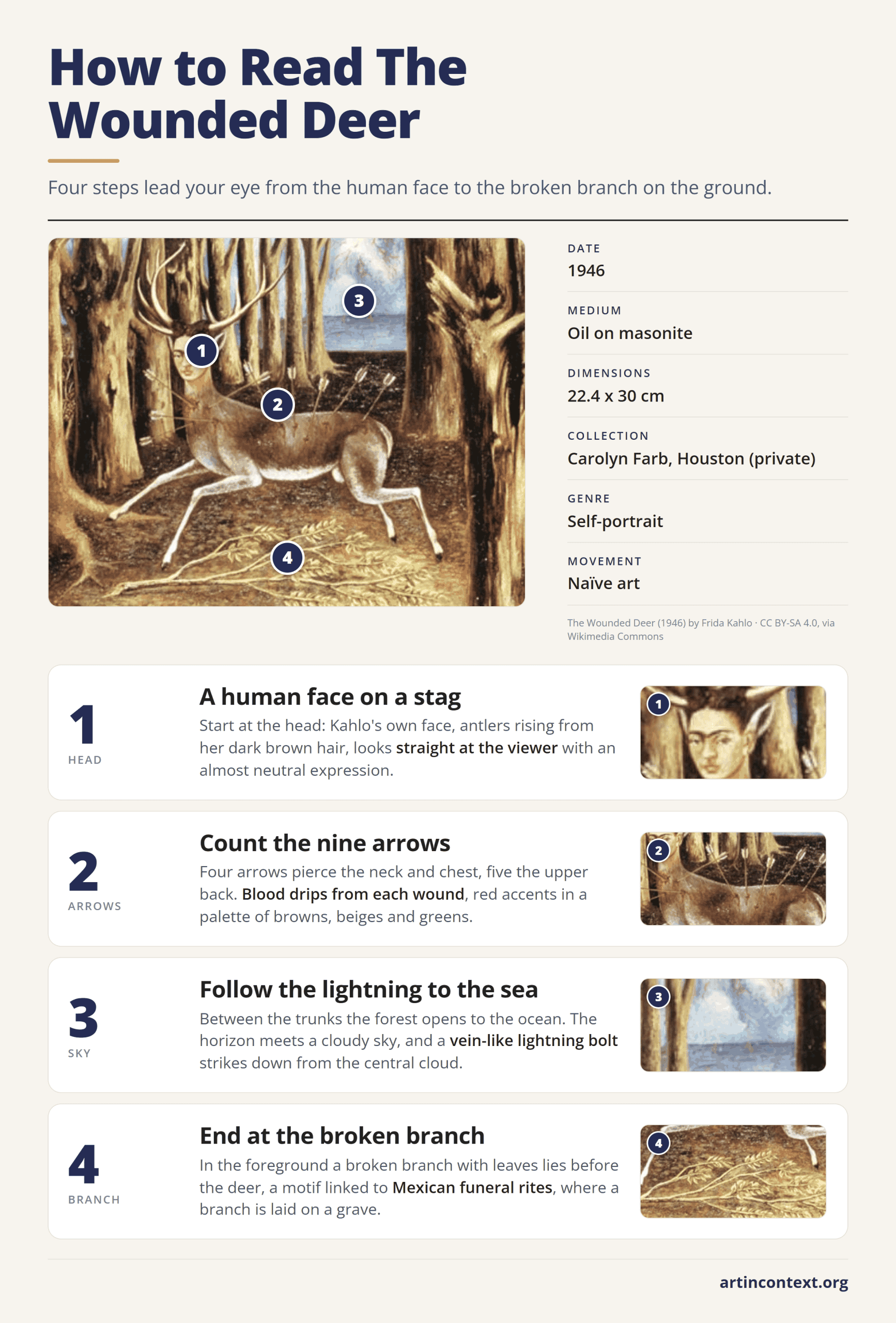 Infographic: four steps to read Frida Kahlo's The Wounded Deer, from the human face and nine arrows to the lightning and broken branch.