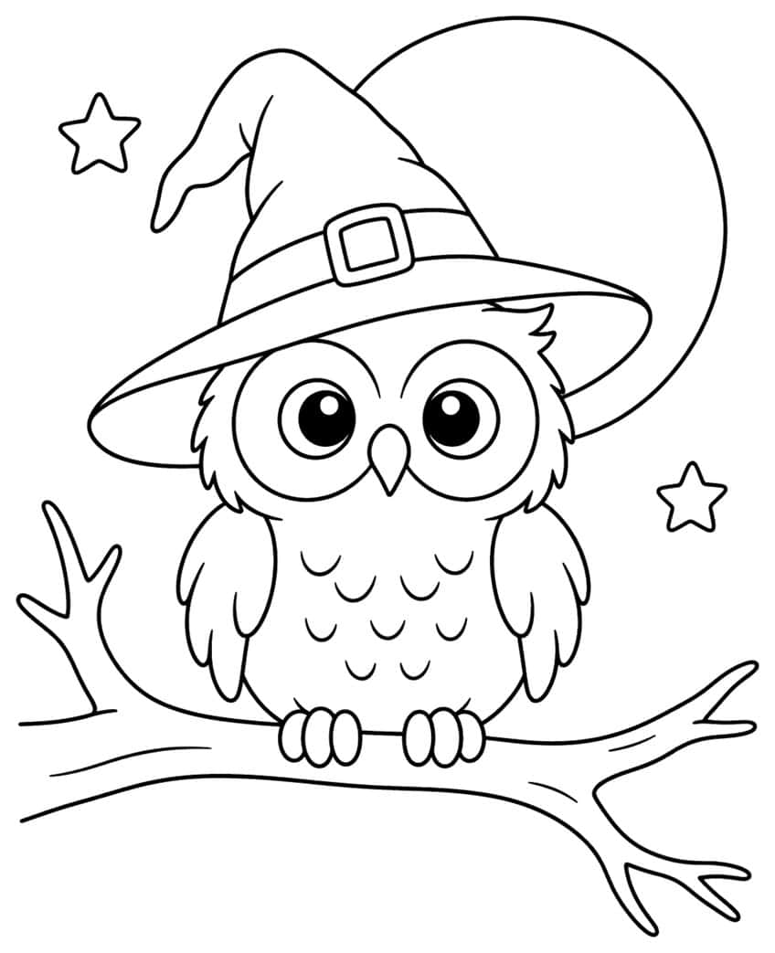 Owl with big eyes in a buckled witch hat on a branch, with a full moon and two stars