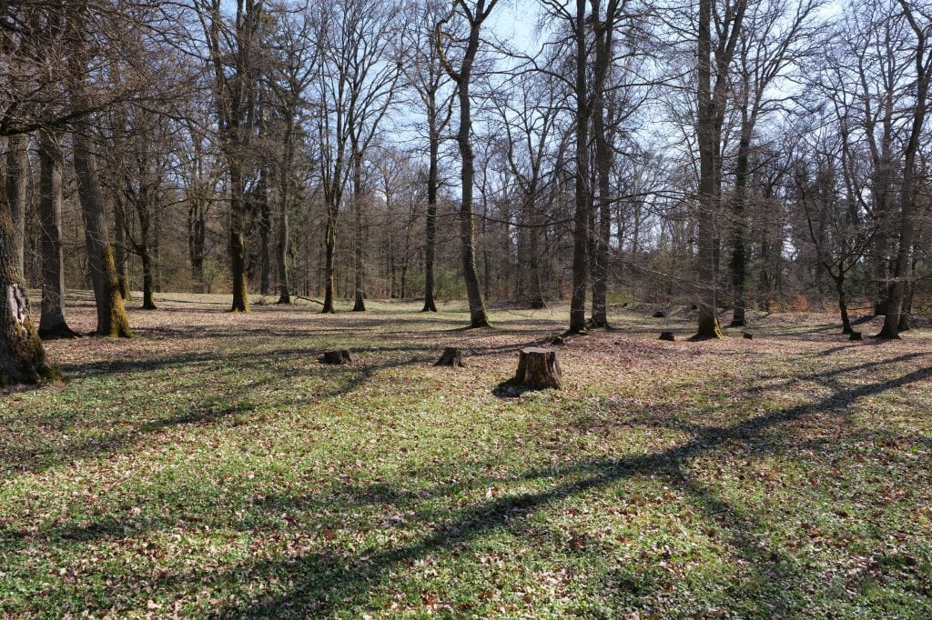 Stone remains of Kapersburg Roman fort stand in the wooded Taunus landscape.