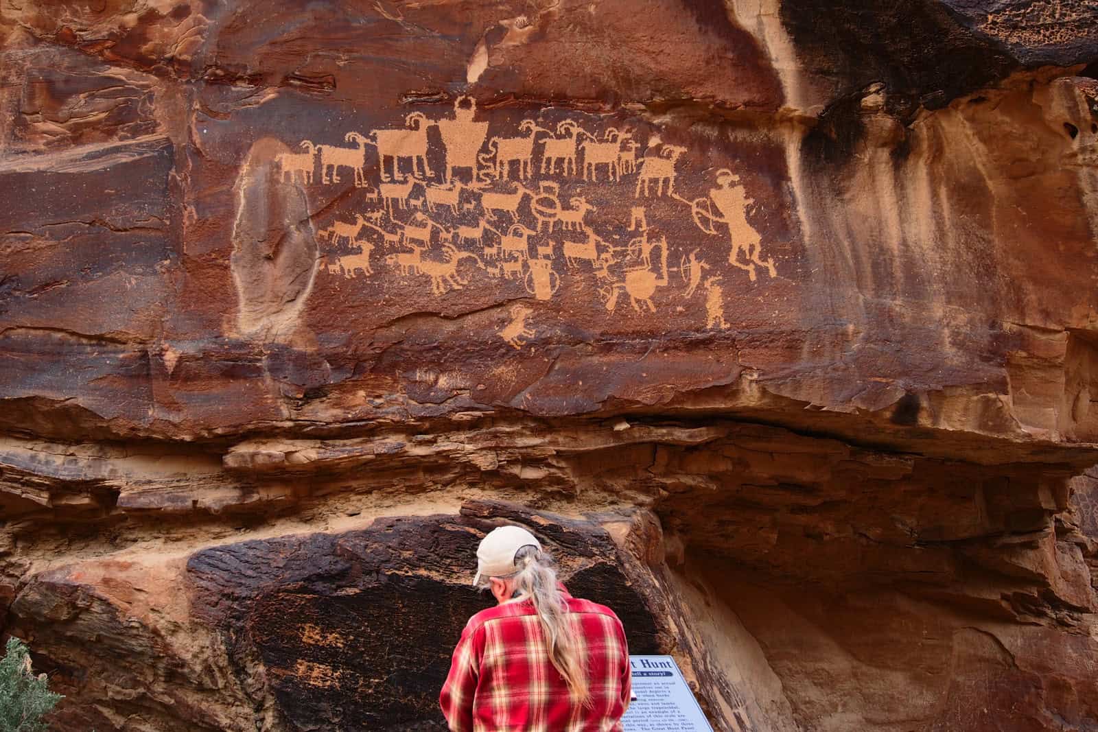 A hunt-scene petroglyph panel with animal and humanlike figures carved into sandstone in Nine Mile Canyon.