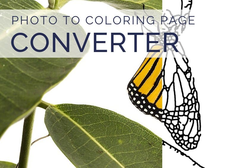 Photo to coloring page converter: monarch butterfly photo turned into black coloring page outlines