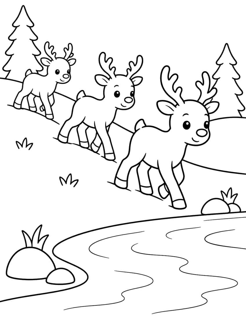 Three smiling reindeer calves walk downhill toward a stream, with fir trees, rocks and grass tufts