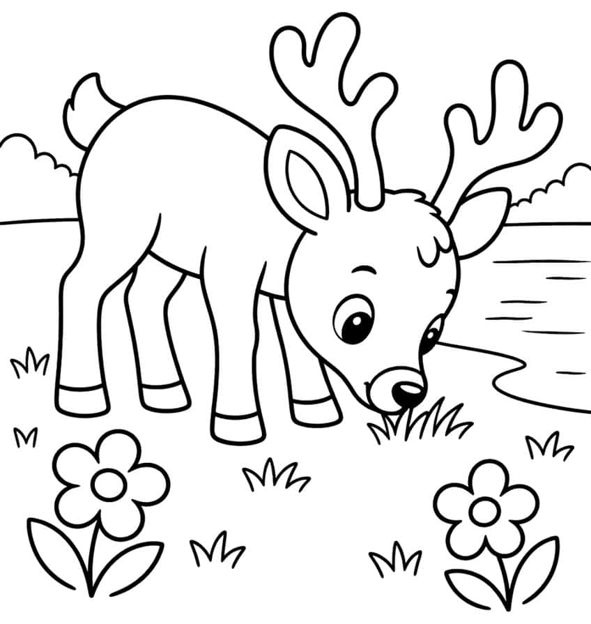 Young reindeer grazing near a pond with two antlers, grass tufts, bushes and two flowers