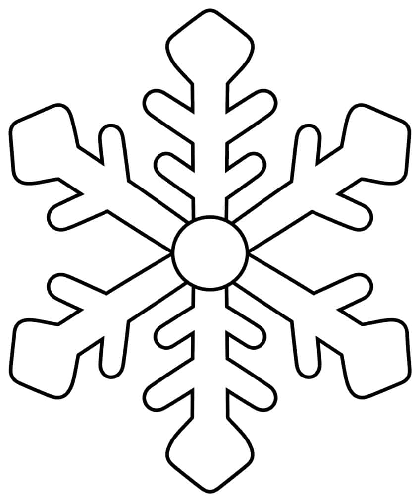 Large six-armed snowflake with a center circle, side branches and broad plate-shaped arm tips