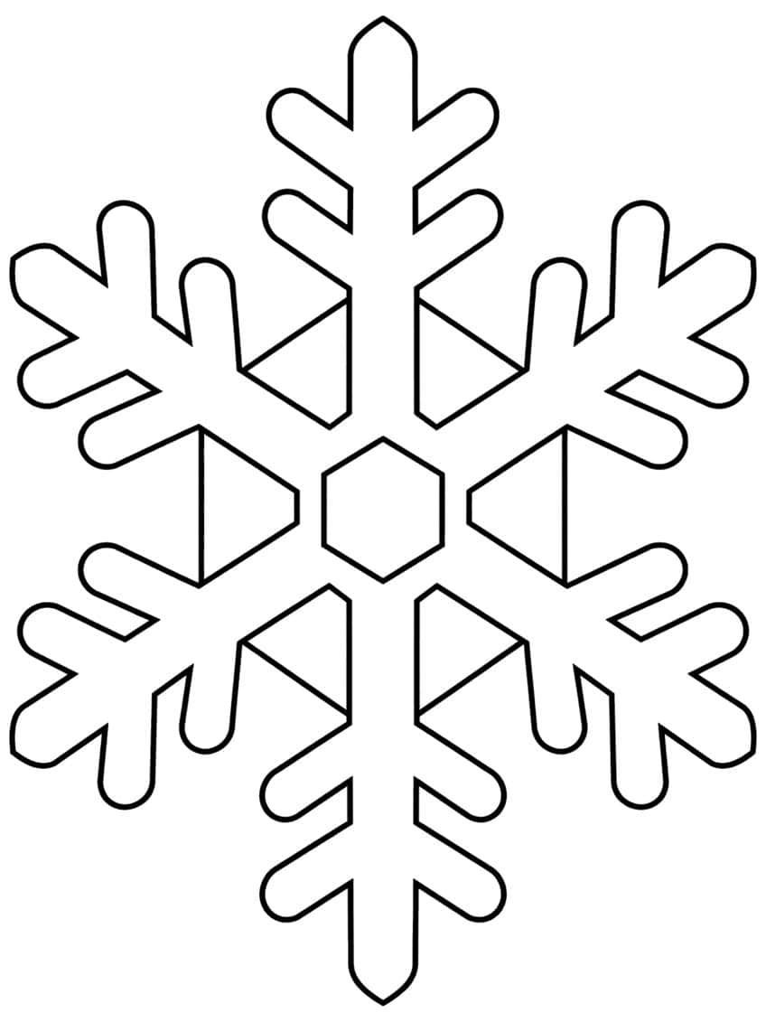 Large six-armed snowflake with forked branches, a center hexagon and triangle panels