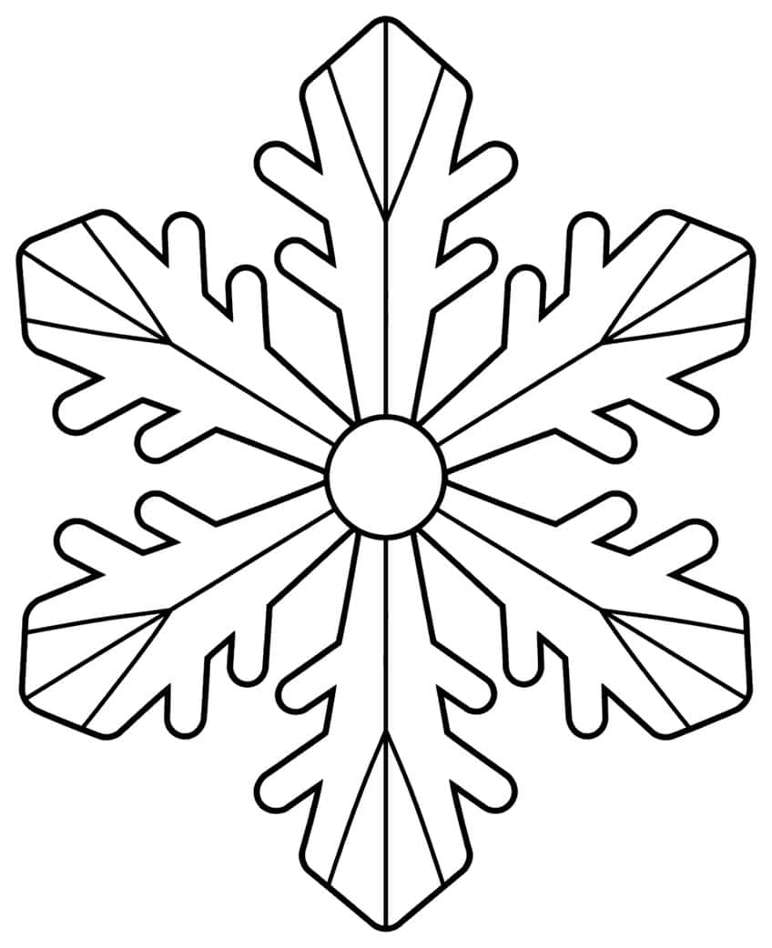 Snowflake with six leaf-shaped arms, rounded side branches and a small circle at the center