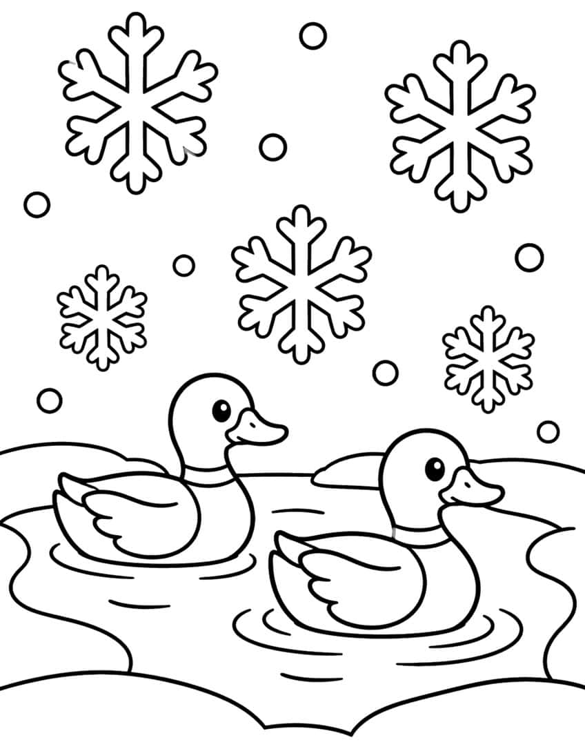Two ducks swimming on a rippled pond below five large snowflakes and small round snowflakes