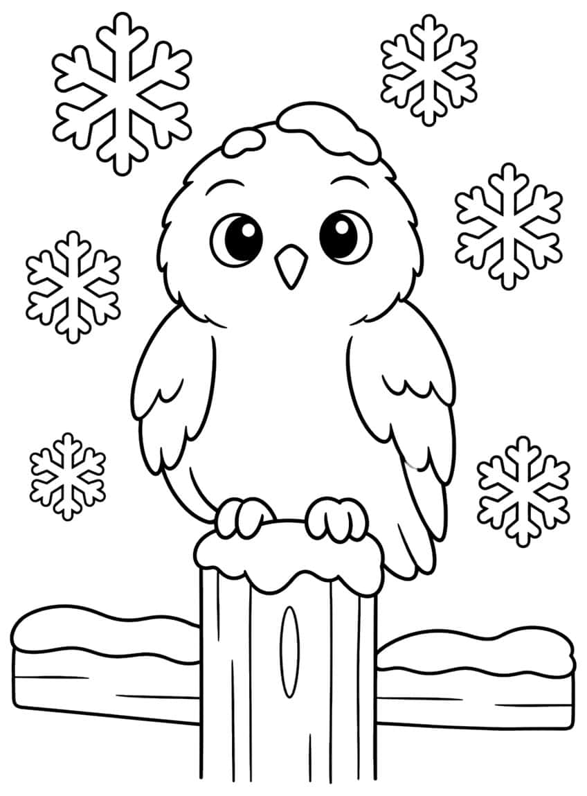 Snowy owl on a snow-topped fence post with six snowflakes around it