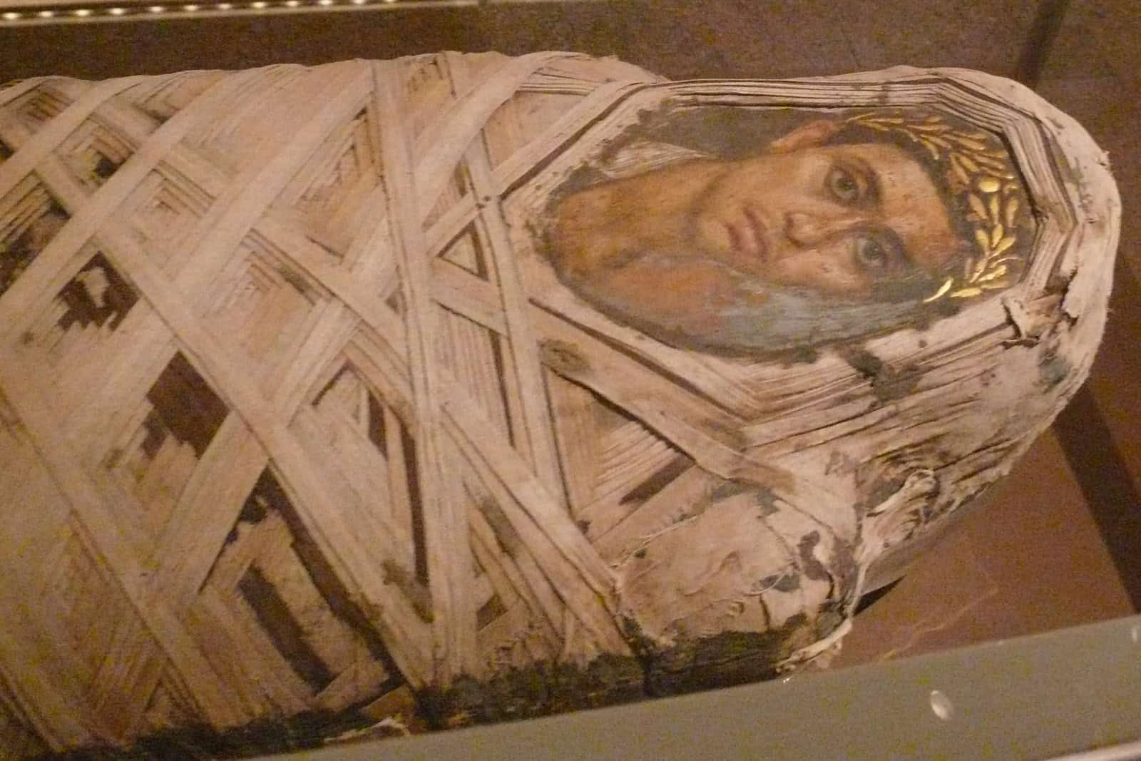 Museum display of a wrapped Roman-Egyptian mummy with a youth’s portrait panel over the face.