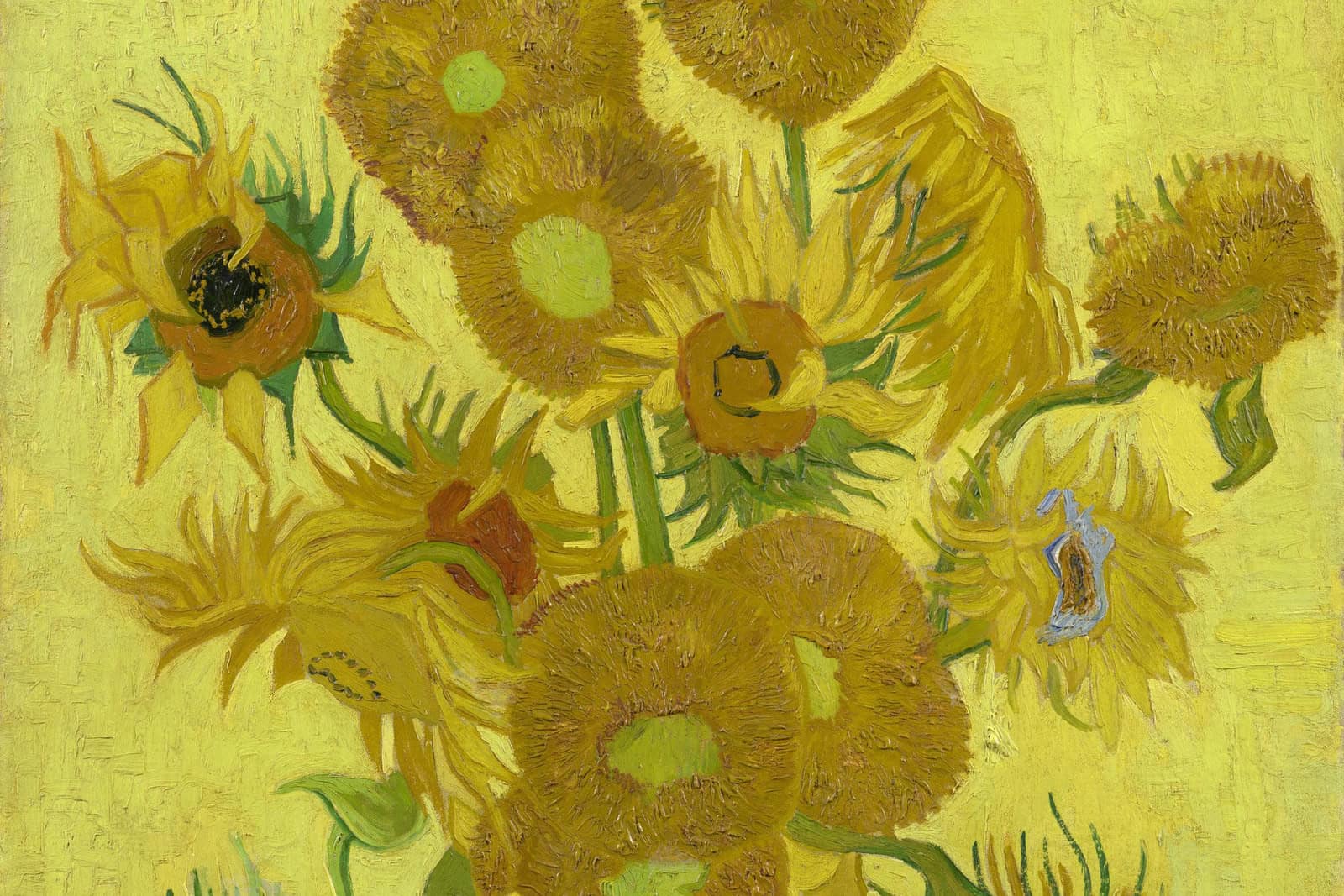 Vincent van Gogh’s Sunflowers shows yellow flowers arranged in a yellow vase.